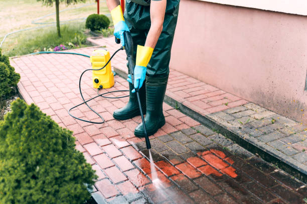 Best Driveway Pressure Washing  in Adamsville, TN